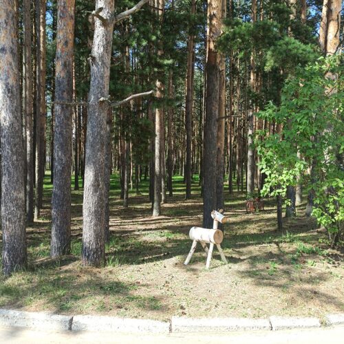Санаторий "Золотой колос" Ярославская область 29 июня – 5 июля, 6 – 12 июля, 24 - 30 августа