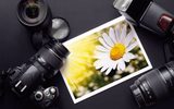 Фоторепортажи с поездок